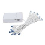 20 LED Battery Operated Lights Blue White Wire