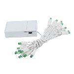 20 LED Battery Operated Lights Green White Wire