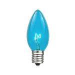 C9 25 Light String Set with Teal Bulbs on White Wire