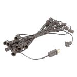 25 Light String Set with Red Transparent C7 Bulbs on Brown Wire