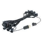 C7 25 Light String Set with Clear Twinkle Bulbs on Black Wire