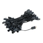 100 C7 String Light Set with Clear Bulbs on Black Wire