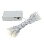 20 LED Battery Operated Lights Warm White White Wire