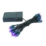20 LED Battery Operated Lights Purple Green Wire
