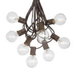 25 G40 Globe String Light Set with Clear Bulbs on Brown Wire