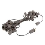 25 G50 Globe Light String Set with Clear Bulbs on Brown Wire