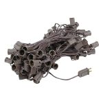 100 G50 Globe Light String Set with Frosted Bulbs on Brown Wire