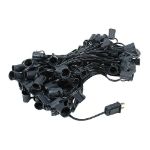 100 G50 Globe Light String Set with Multi Bulbs on Black Wire