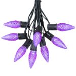 25 Light String Set with Purple LED C9 Bulbs on Black Wire