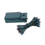 50 LED Battery Operated Lights Purple Green WIre