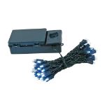 50 LED Battery Operated Lights Pure White Green Wire