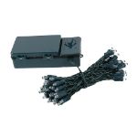 50 LED Battery Operated Lights Pure White Green Wire