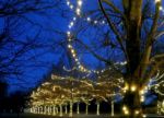 Commercial Grade Wide Angle 100 LED Warm White 34' Long on Green Wire