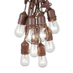 25 Clear S14 Commercial Grade Suspended Light String Set on 37.5' of Brown Wire 