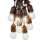 25 LED S14 Warm White Commercial Grade Suspended Light String Set on 37.5' of Brown Wire 