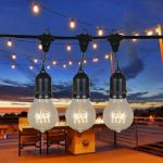 15 A19 Vintage Edison String Light Set - 48' - Black Wire 