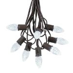 25 Light String Set with Pure White LED C7 Bulbs on Brown Wire