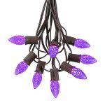 25 Light String Set with Purple LED C7 Bulbs on Brown Wire