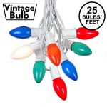 C9 25 Light String Set with Ceramic Assorted Bulbs on White Wire