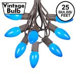 C9 25 Light String Set with Ceramic Blue Bulbs on Brown Wire