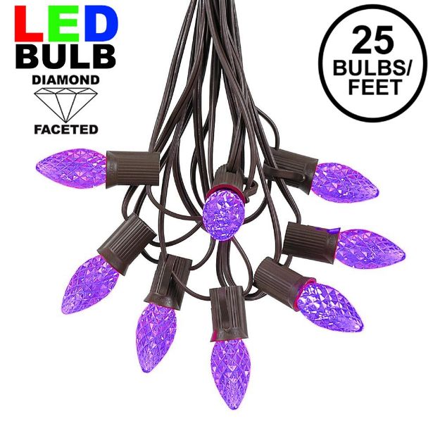 25 Light String Set with Purple LED C7 Bulbs on Brown Wire