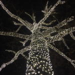 50 LED Pure White LED Christmas Lights 11' Long on White Wire
