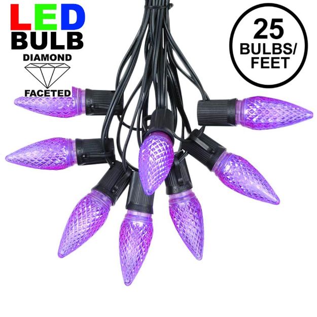 25 Light String Set with Purple LED C9 Bulbs on Black Wire