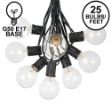 25 G50 Globe Light String Set with Clear Bulbs on Black Wire