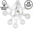 25 G40 Globe String Light Set with Clear Bulbs on White Wire
