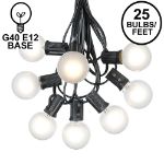25 G40 Globe String Light Set with Frosted White Bulbs on Black Wire