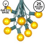 25 G40 Globe String Light Set with Yellow Bulbs on Green Wire