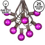 25 G40 Globe String Light Set with Purple Satin Bulbs on Brown Wire