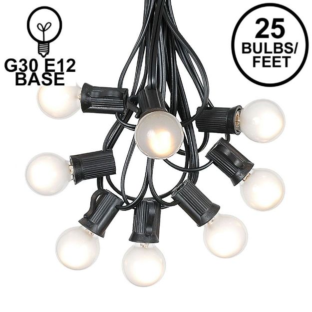 25 G30 Globe Light String Set with Frosted White Bulbs on Black Wire