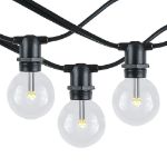 25 Warm White LED G40 Commercial Grade Candelabra Base Light Set