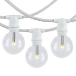 25 Warm White LED G40 Commercial Grade Candelabra Base Light Set - White Wire