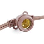 25 Warm White LED G50 Commercial Grade Intermediate Base Light Set - Brown Wire