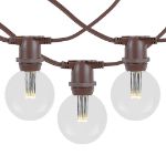25 Warm White LED G50 Commercial Grade Intermediate Base Light Set - Brown Wire