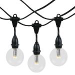 25 Warm White G50 LED Suspended Commercial Grade Intermediate Base Light Set