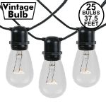 25 Clear S14 Commercial Grade Light String Set on 37.5' of Black Wire 