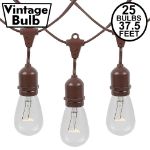 25 Clear S14 Commercial Grade Suspended Light String Set on 37.5' of Brown Wire 