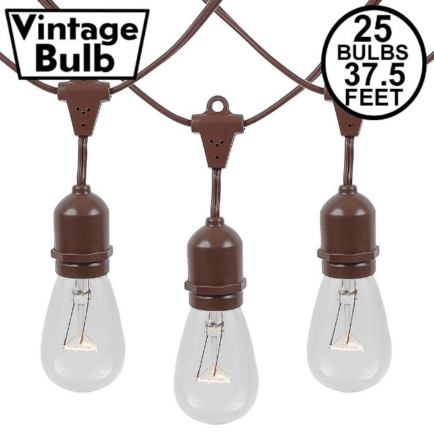 25 Clear S14 Commercial Grade Suspended Light String Set on 37.5' of Brown Wire 