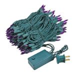 Purple Multi Function Chasing Christmas Lights