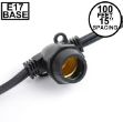 100' Black Commercial Grade Stringer 80 Intermediate (e17) Base Sockets