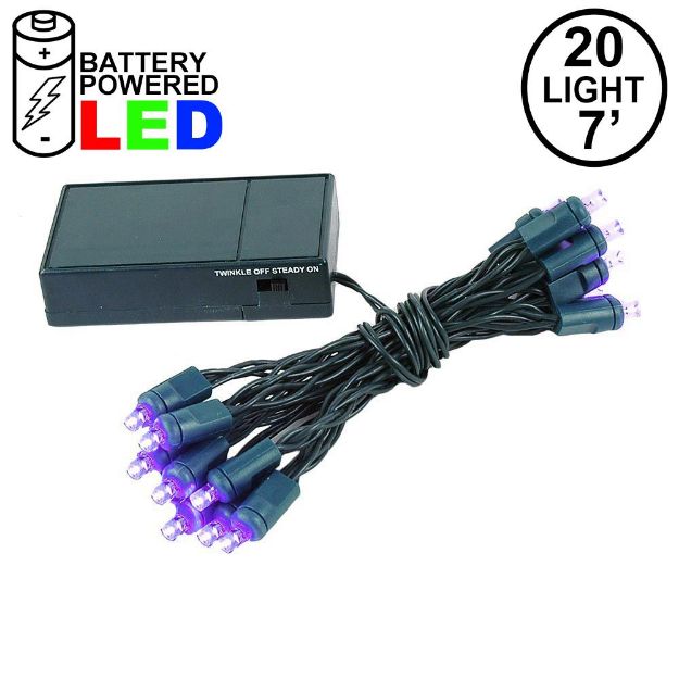 20 LED Battery Operated Lights Purple Green Wire