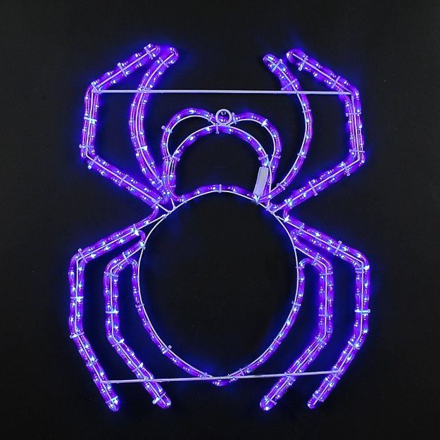 24" Halloween Spider LED Rope Light Motif 