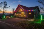 25 Light String Set with Multi Colored LED C7 Bulbs on Brown Wire