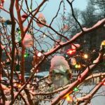 C7 25 Light String Set with Multi-Colored Twinkle Bulbs on Black Wire
