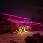 25 Light String Set with Purple Ceramic C7 Bulbs on Green Wire