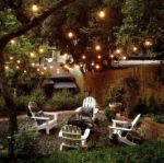 25 G30 Globe Light String Set with Clear Bulbs on Brown Wire