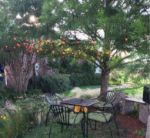 100 G30 Globe String Light Set with Orange Satin Bulbs on Brown Wire